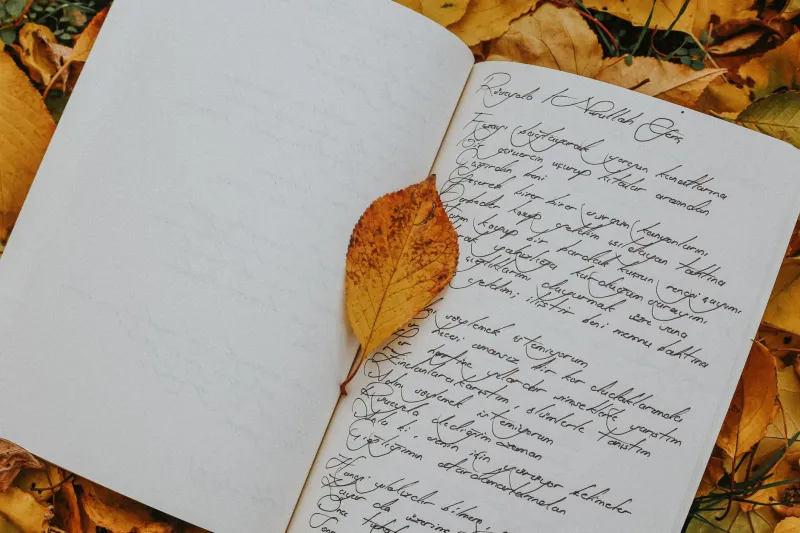 Between Two Tongues: Southeast Asian American Writers Are Making the Untranslatable Their Superpower